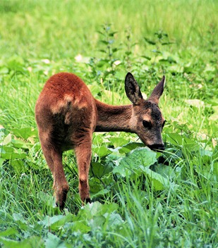 13A_014520060823_23082006