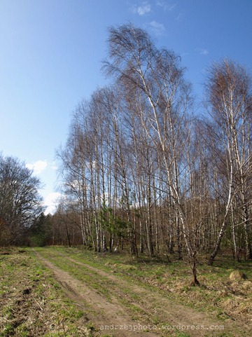 E20110410_0005_8bit_20110410202940