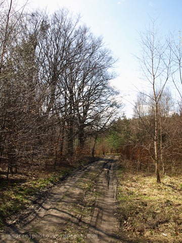 E20110410_0006_8bit_20110410203141