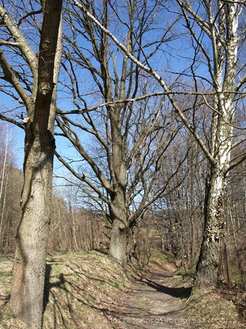 E20110410_0008_8bit_20110410203313