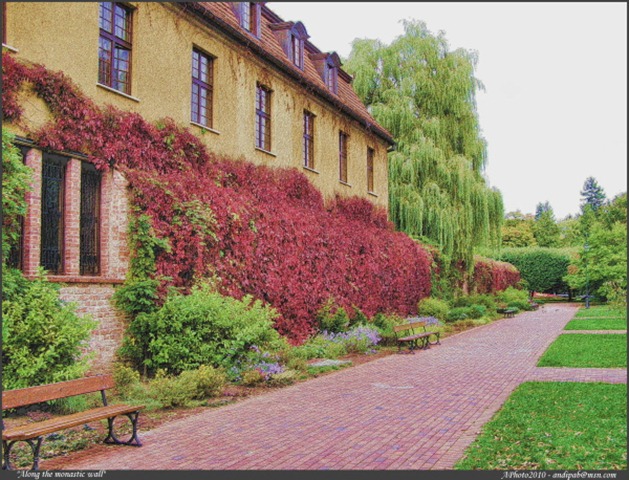 along the monastic wall_web
