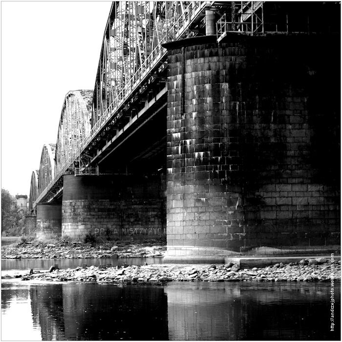 Praca niszczy życie