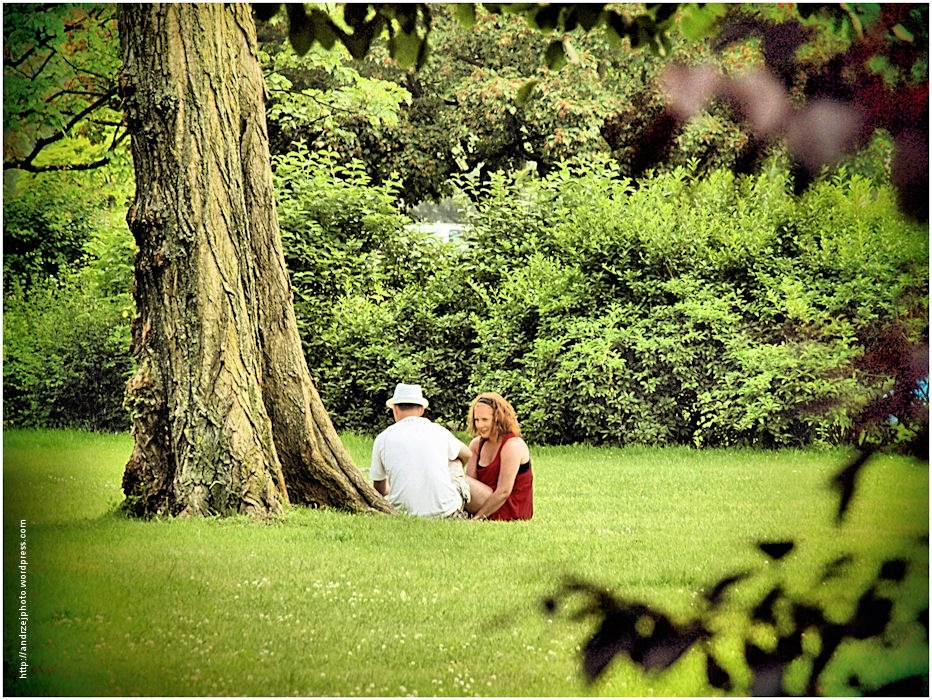 Red and White on Green