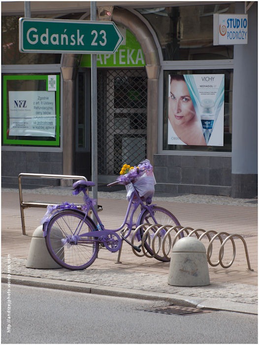 Gdyńskie rowery-1