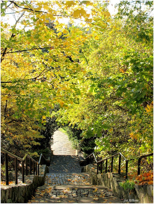 Chodźmy do ogrodu...