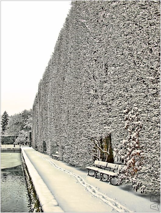 W krainie Królowej Śniegu