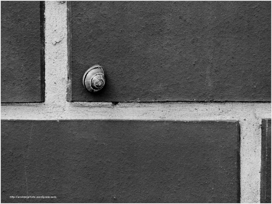 Sleeping on the wall