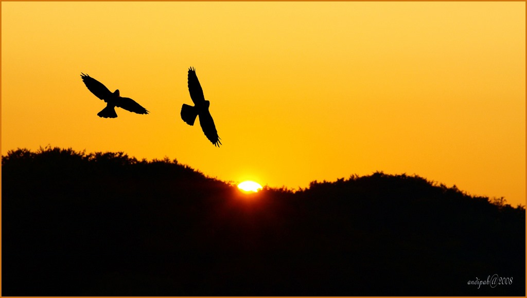 3204149715_888df7e250_b