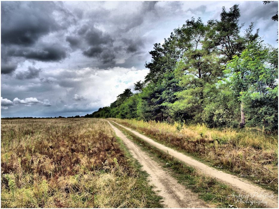 Krajobraz polski_24