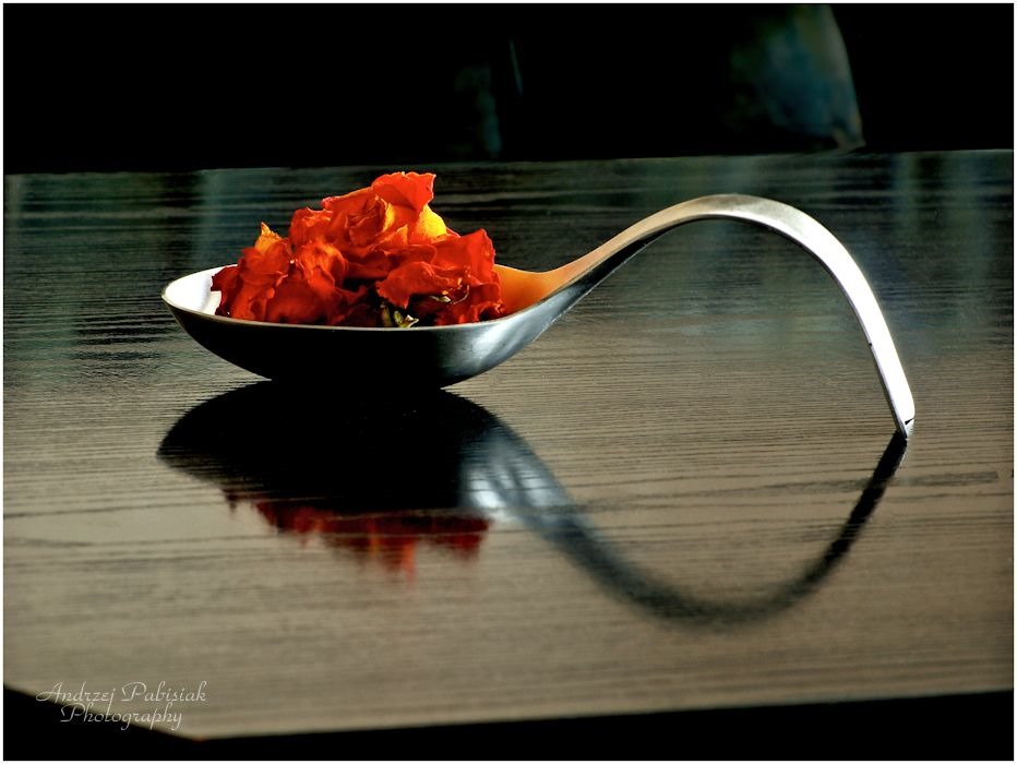 The spoon of the flavour