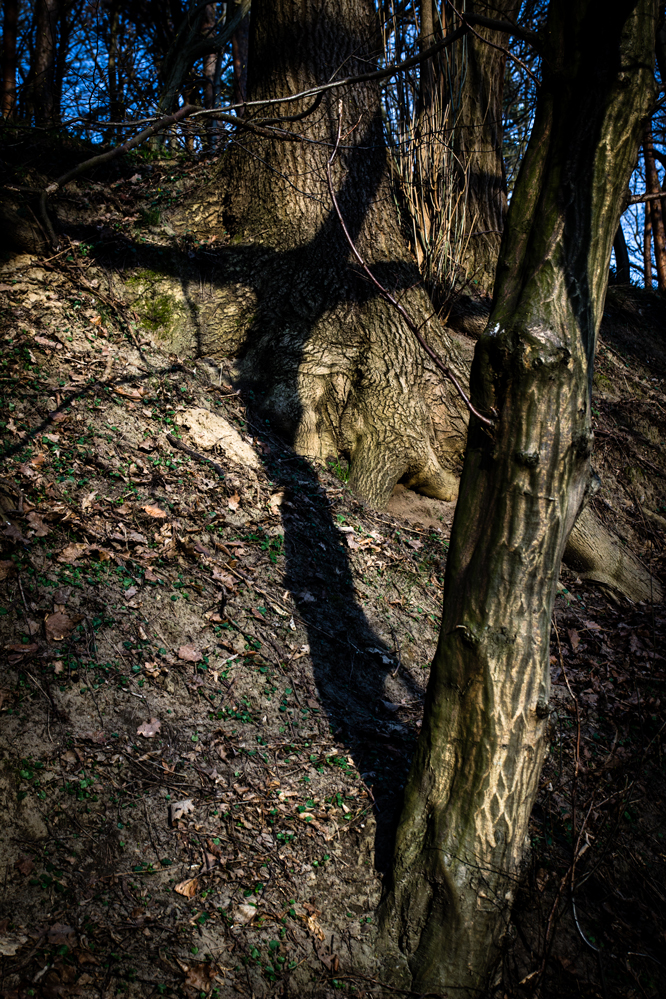 Sven Jankowski "... jeder nur ein Kreuz ..."