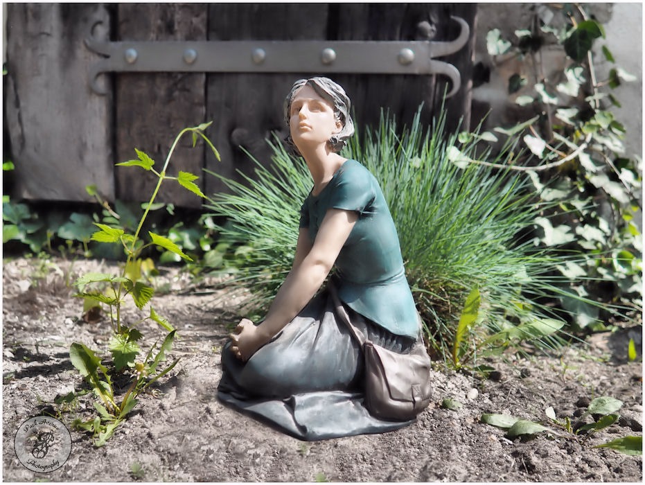 In the enchanted garden