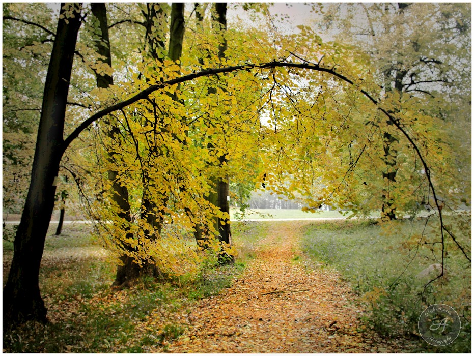 The golden gate of the Autumn