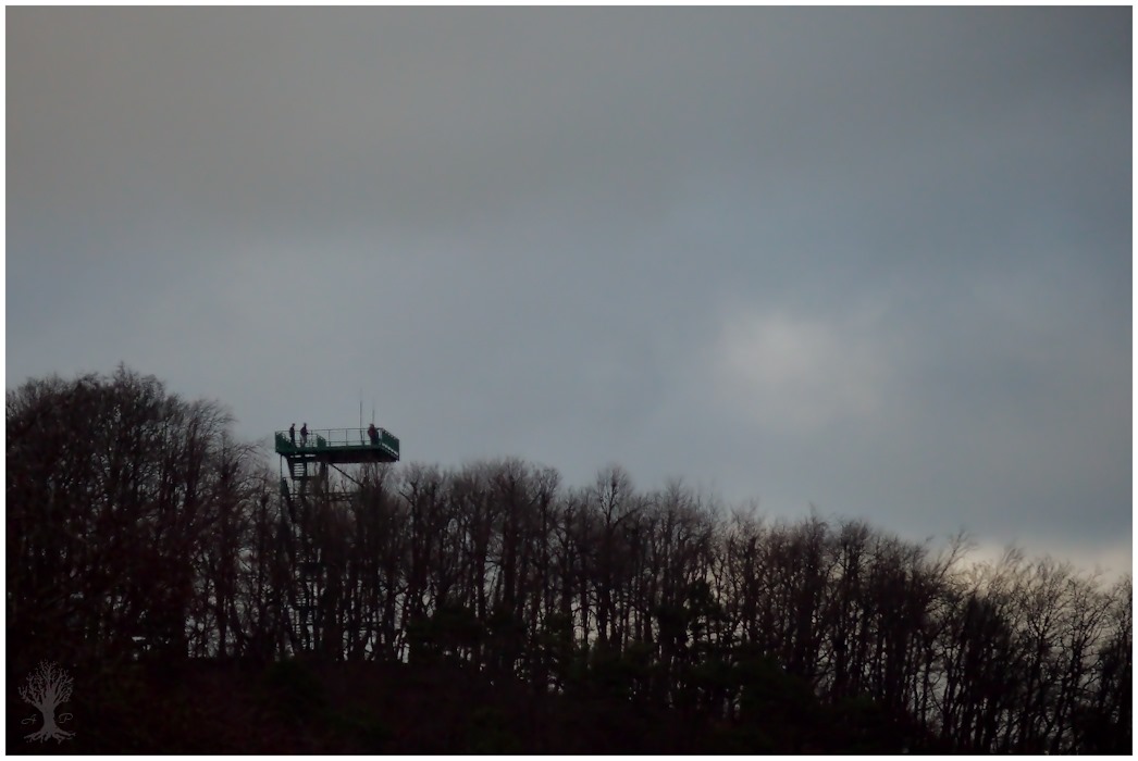 Among the earth and the sky