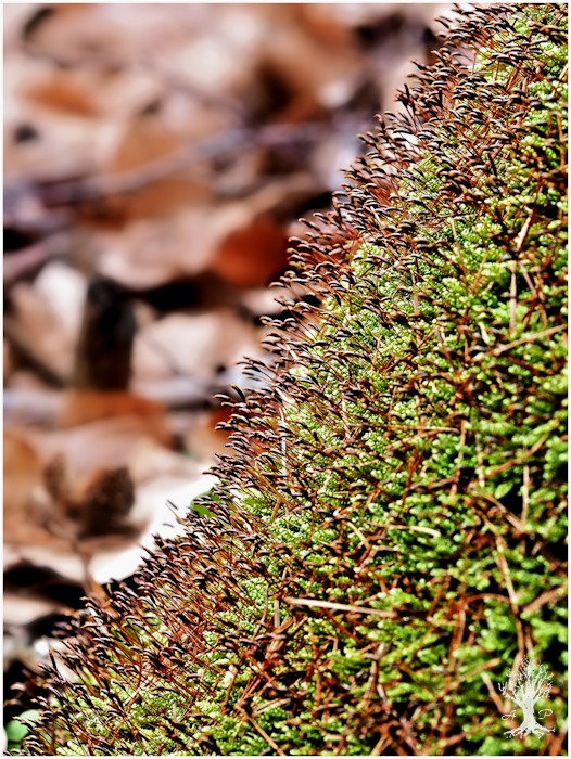 Waiting for the next season