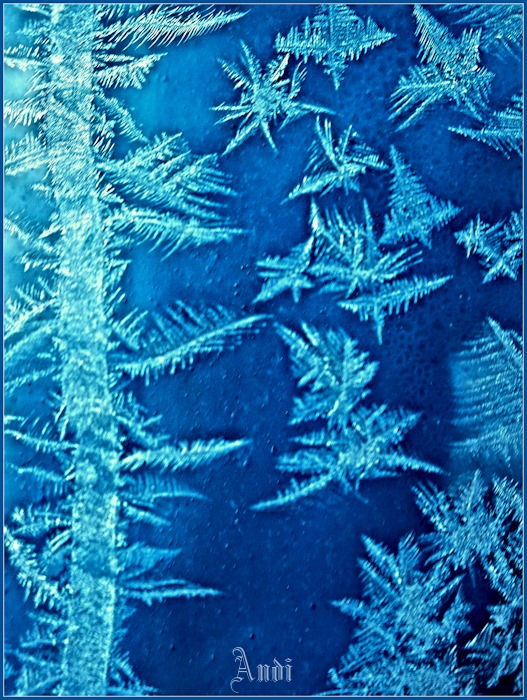 With the frost painted - 1