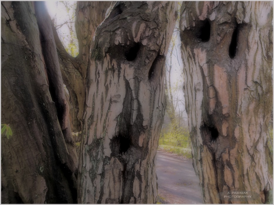 In a whisper to me speak, speak in a whisper