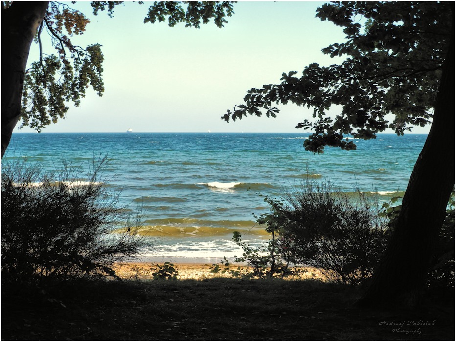  Let us go out from the shadow