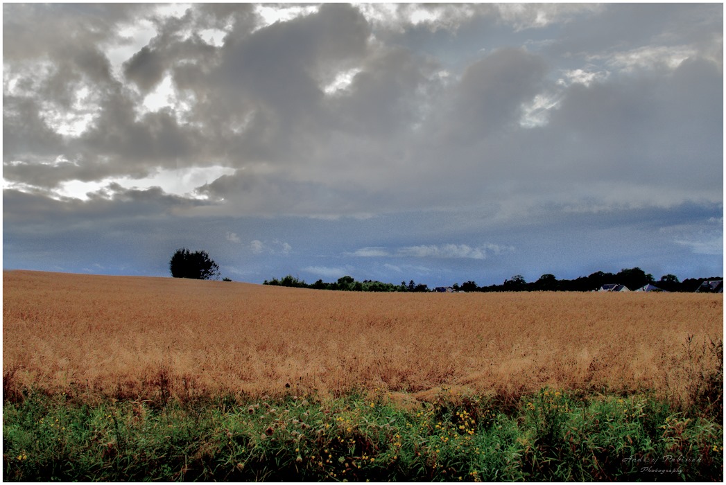 The silence before the storm