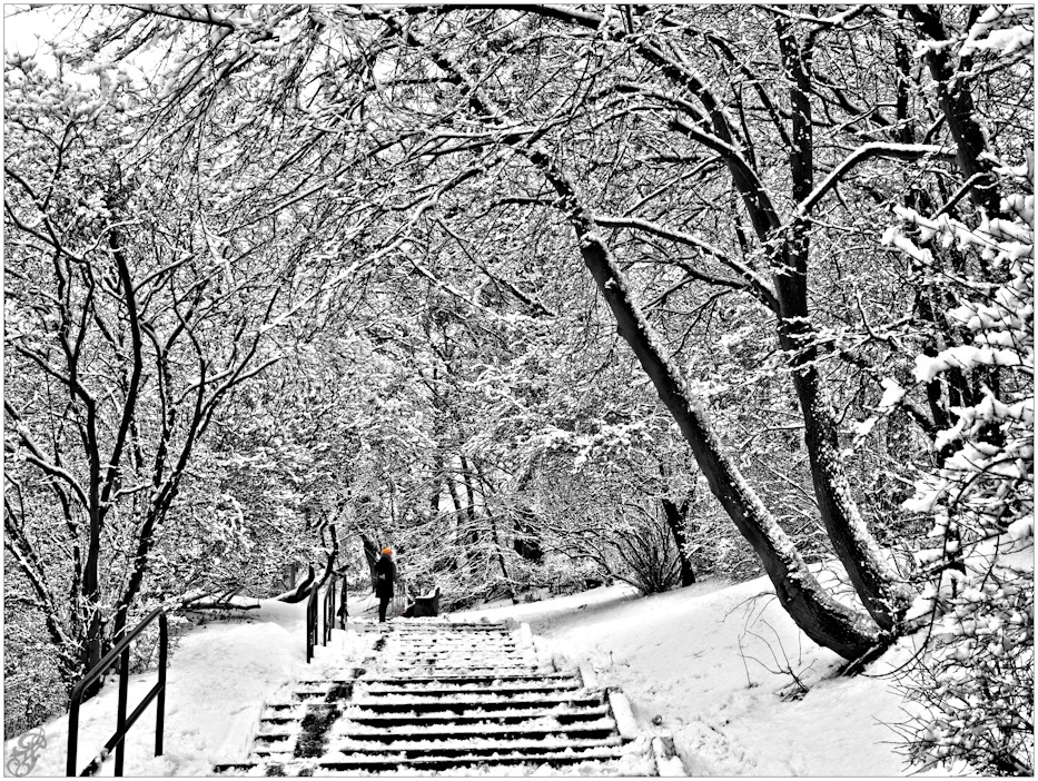 Black and white in the colour