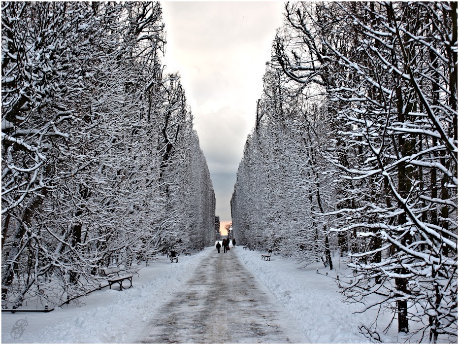 The black-and-white morning