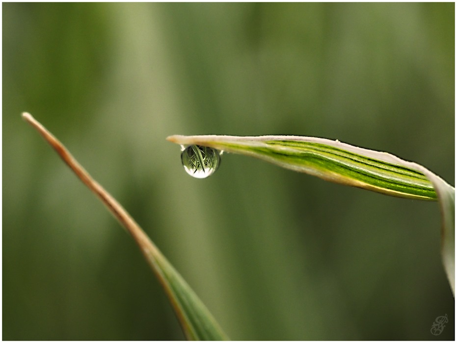 One the moment from the life of the droplet