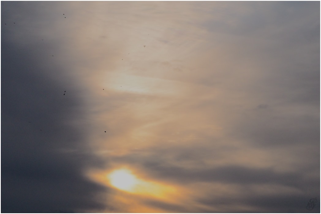 In quest for the Sun