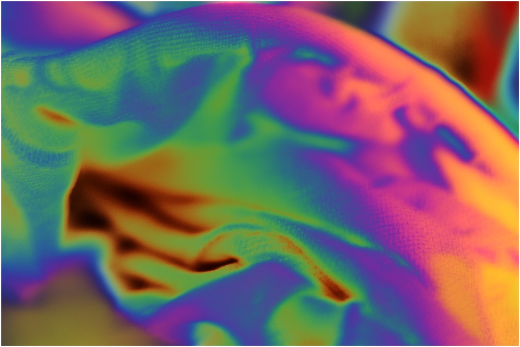 OLYMPUS DIGITAL CAMERA         