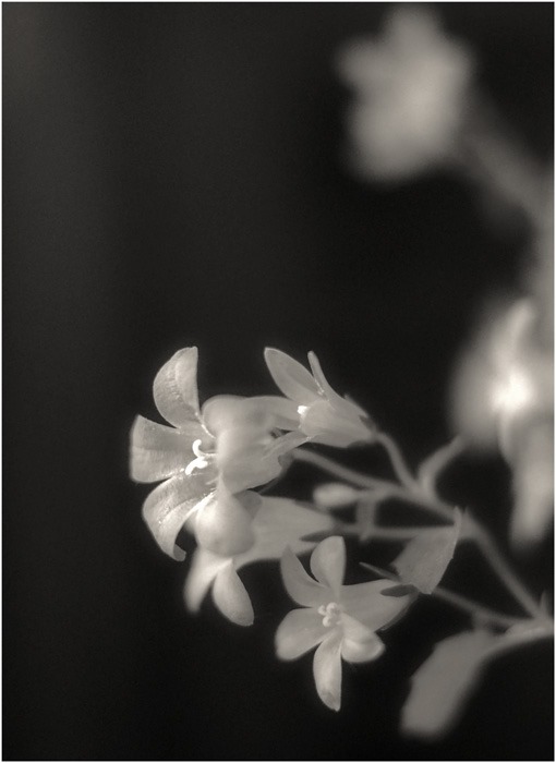 No0078-21